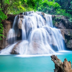 winter wallpaper with stylish tree and background with good design and stylish art